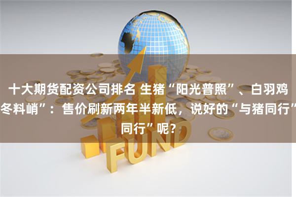 十大期货配资公司排名 生猪“阳光普照”、白羽鸡“寒冬料峭”：售价刷新两年半新低，说好的“与猪同行”呢？
